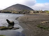 Galapagos 6-1-02 Santiago Puerto Egas Sea Lion and Sugarloaf Volcano